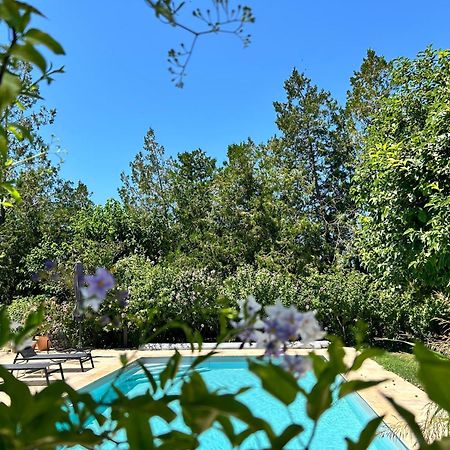 Provenzalisches Landhaus Les Martinets Am Fusse Des Mont Ventoux Villes-sur-Auzon エクステリア 写真