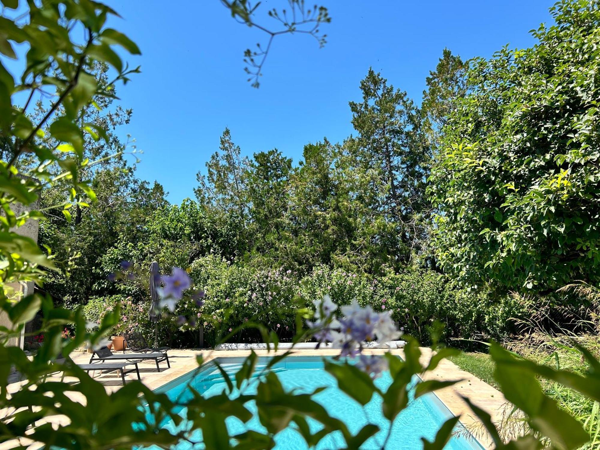 Provenzalisches Landhaus Les Martinets Am Fusse Des Mont Ventoux Villes-sur-Auzon エクステリア 写真